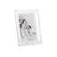 Glass Picture Frame-24569400