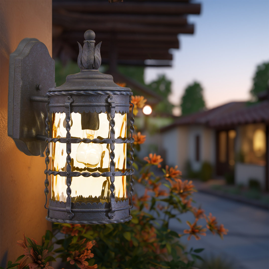 Puccio 1 - Bulb Outdoor Wall Lantern Fleur De Lis Living Shade 