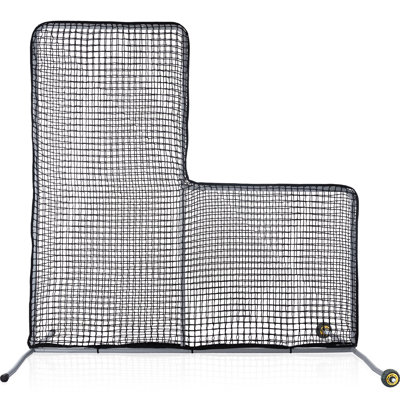 GaGalileo Goal/Net with Carrying Case