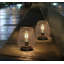 Lampe fantaisie Damariscotta