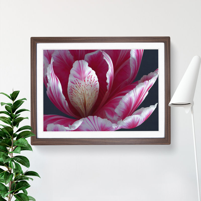 Enlightening Flower - Single Picture Frame Print, 46cm H x 64cm W x 2cm D, Walnut Framed