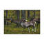 No Frame Print on Canvas-807969929