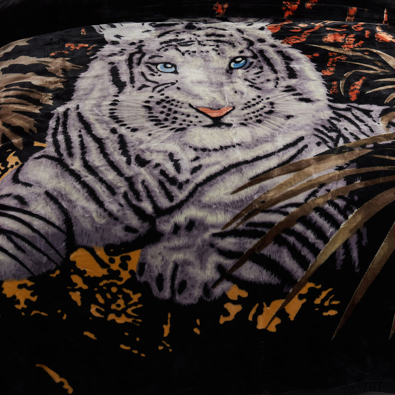 Couverture  Tiger Winter Wram