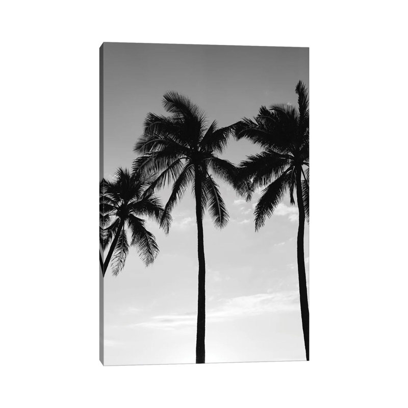 Hawaiian Palms III by Bethany Young - Print on Canvas, Wrapped Canvas, 45.72cm H x 30.48cm W x 1.91cm D
