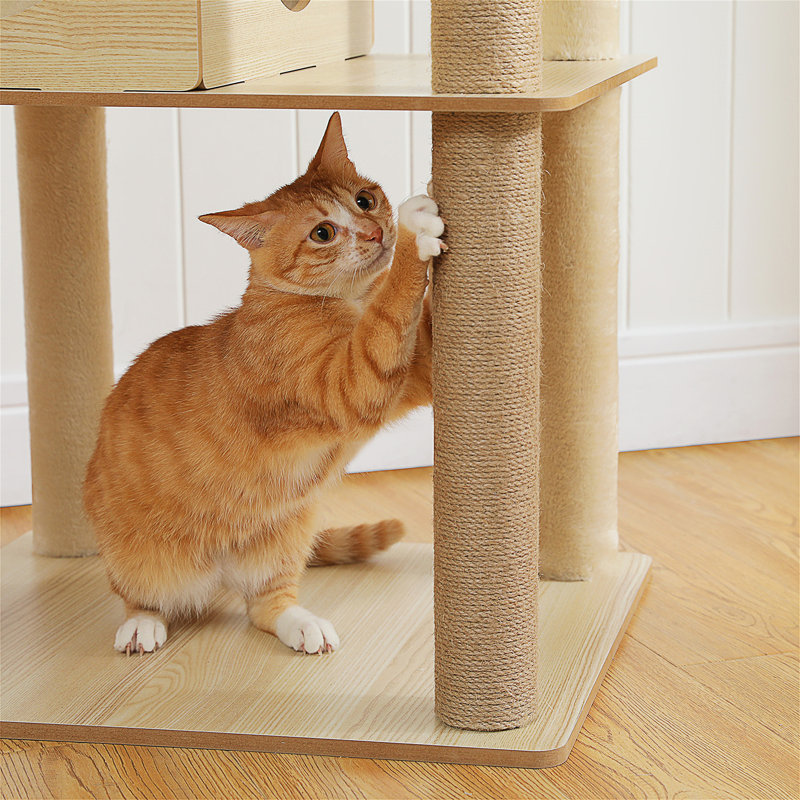 Arbre à chat
