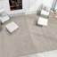 Area Rug in Light Green/Beige