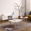 Table basse en forme d'œuf, table basse moderne, table à thé-1311640272
