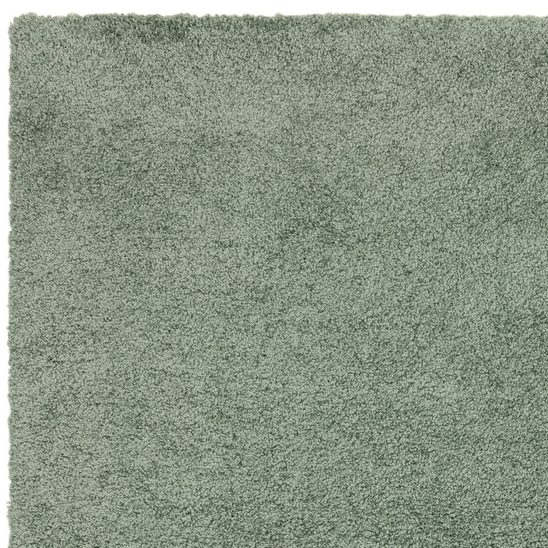 Taiwo Shaggy Sage Area Rug, Rectangle 120 x 170 cm