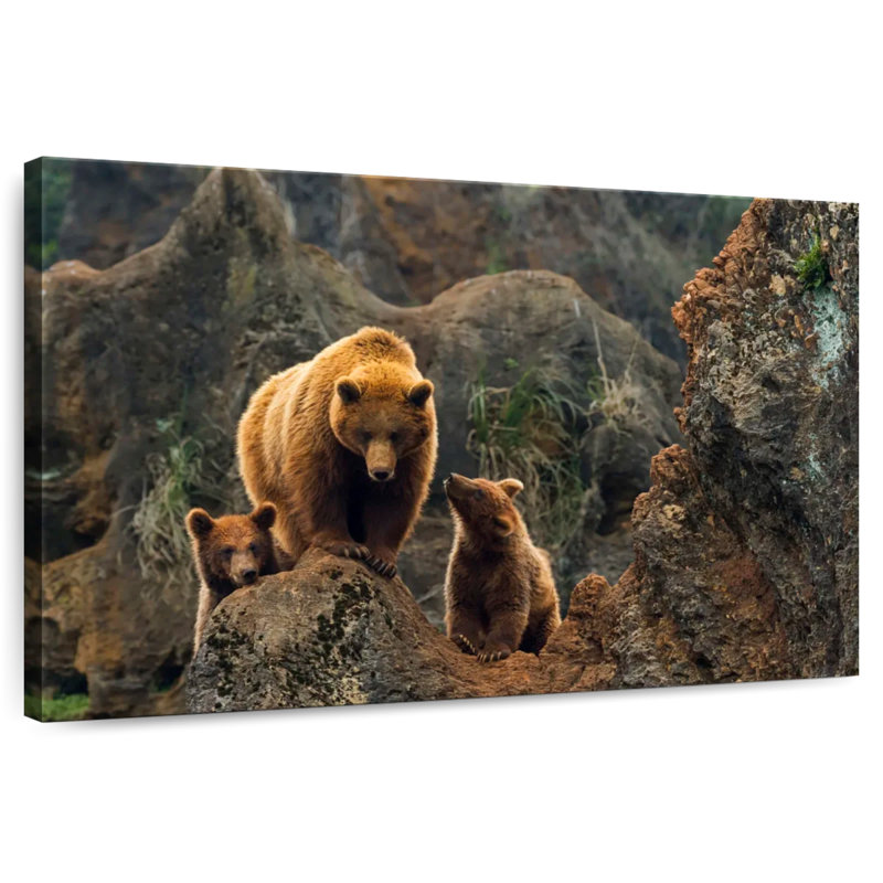 Ours bruns et petits, H 32 po x l 48 po