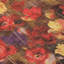 Tapis doré intérieur / extérieur Chayden Chantille ACN992-109609667