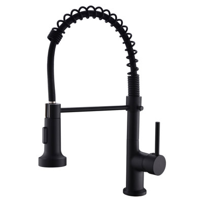 Robinet de cuisine avec douchette rétractable, robinet d'évier de cuisine à poignée simple