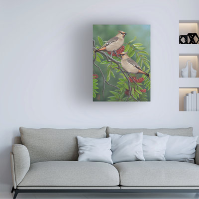 Jeff Hoff Mountain Ash Waxwing Canvas Art