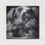  «Cat and Dog B & w» par Rey Klimt, art mural en métal, 24 po x 24 po