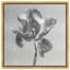 Tidal Wilt III Floral & Botanical Canvas Print by Oliver Gal, Black Frame, 12 x 12-1059185446-1059185447