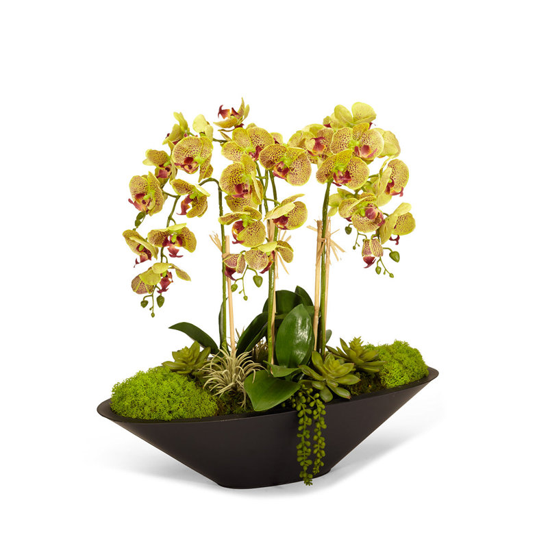 Orchid Floral Arrangement in Metal Planter, Green
