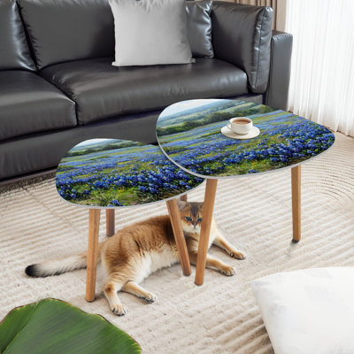 Ensemble de 2 tables basses gigognes triangulaires bleu bonnets texas bluebonnets