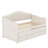 Modern Wooden Daybed with Trundle, Storage Drawers & Upholstered Button Tufted Backrest-313780832