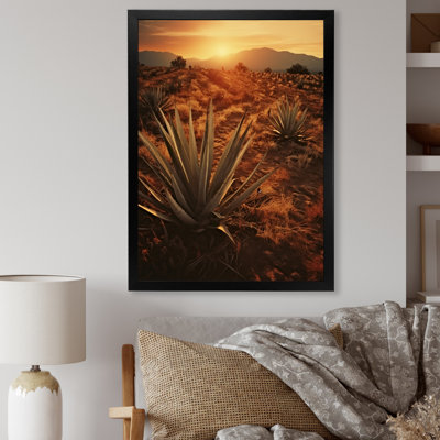 Succulent Field au Texas