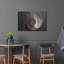 "Coquillage Nautilus" par Elena Ray-1416675434