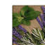 Tapis d'intérieur et d'extérieur brun Botanical-969192807