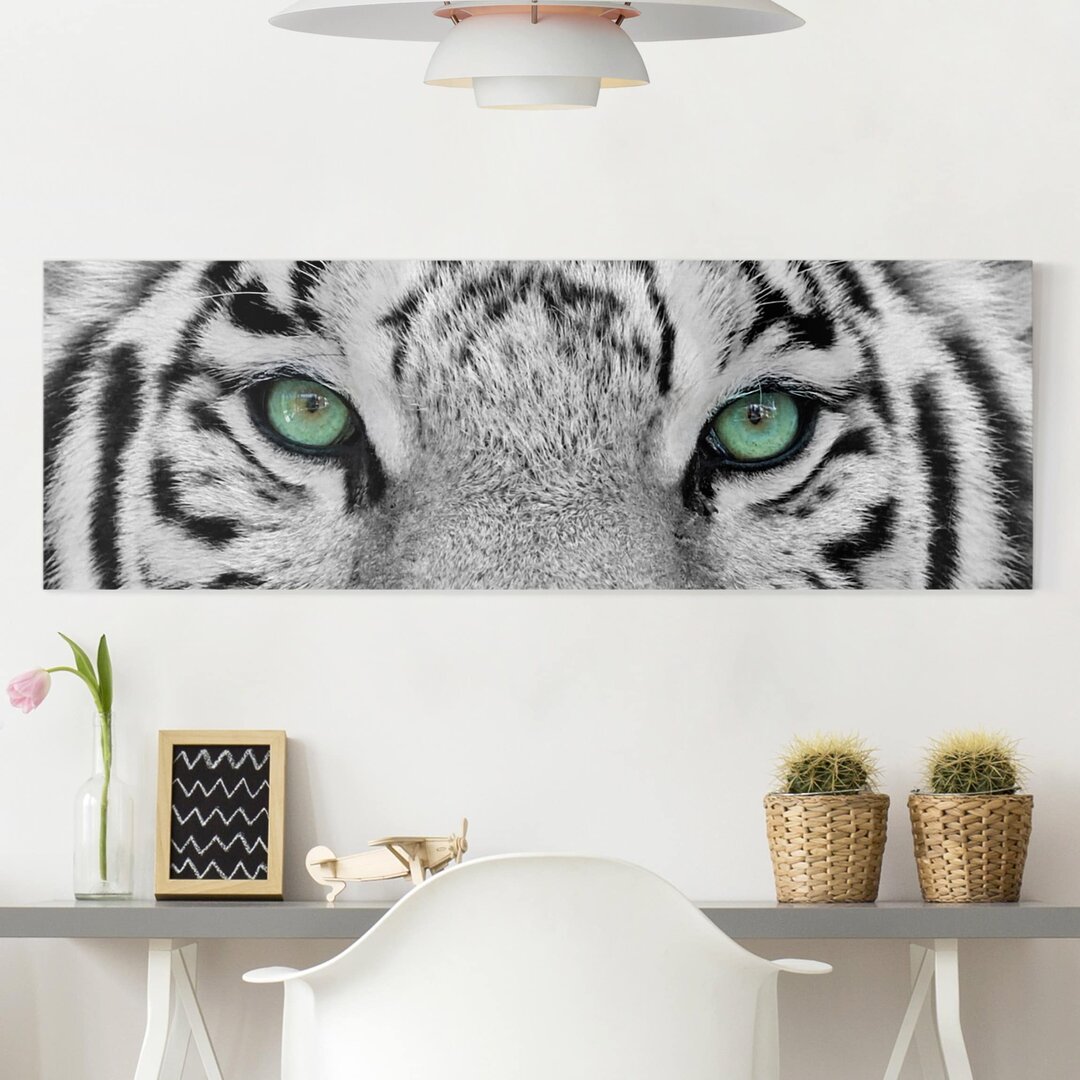 Leinwandbild White Tiger