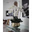Roberi bowl with multiple stems of white Phalaenopsis orchids-1152908705-1155361734