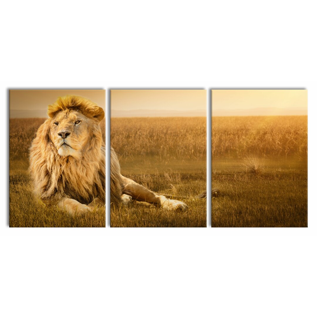 3-tlg. Leinwandbilder-Set Majestic Lion