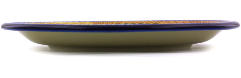 Stoneware Dinner Plate