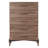 Aldiana 56" Modern 5-Drawer Chest