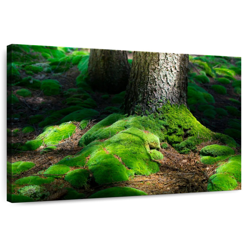 Harnek Forest Moss, H 32 po x l 48 po