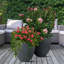 Concrete Effect Round Planter, Frostproof Outdoor Plant Pot, Round Garden Planter with Drainage Holes-39260878-39260670