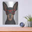 «Pinscher miniature portant des lunettes de hipster» par les affiliés Furbaby-1147288544