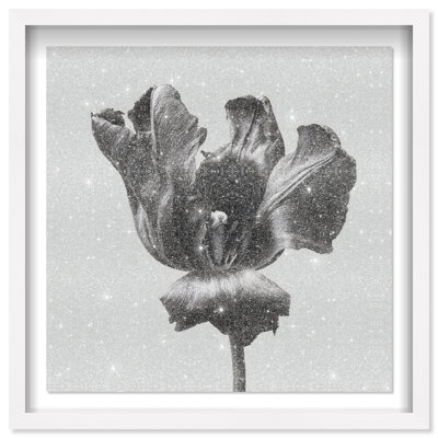 Tidal Wilt II Framed Graphic Art