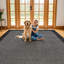 Tapis moderne à motif géométrique moderne à bordure-85986588-85986578