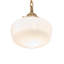 Luminaire suspendu 9 po