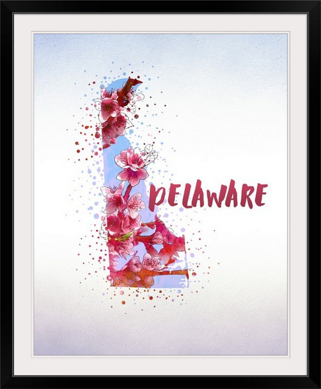 Delaware State Flower (Peach Blossom) - reproduction d'art, H 38 po x l 32 po x P 1 po, Cadre noir
