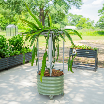 Jardinière en forme de dragon à roulettes ronde en métal de 57 po de hauteur et 24 po de largeur