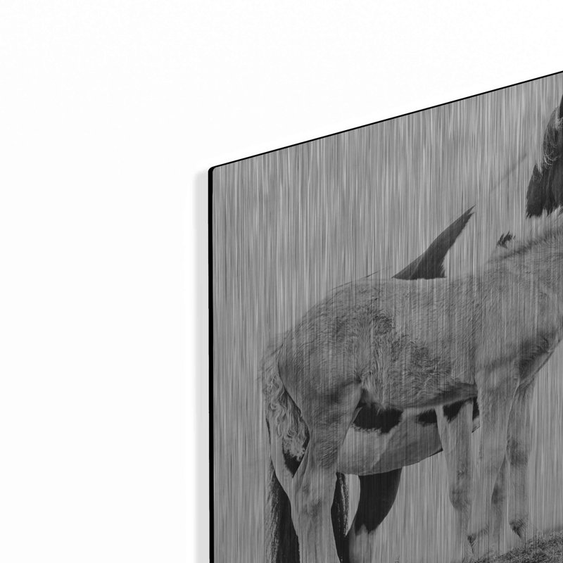 «BandW Horses I» par PH Burchett, H 12 po x l 12 po