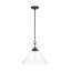 Luminaire suspendu noir à 1 lumière Bronsyn