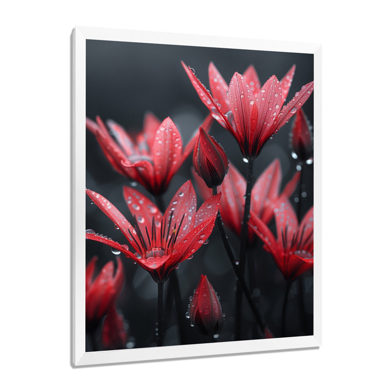 Monochromes de pissenlit, gouttes de pluie, I - art mural pissenlit, Cadre simple blanc, H 30 po x l 40 po