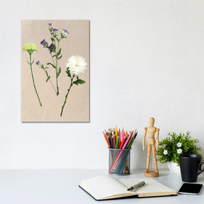 Pretty Pressed Flowers I by Melissa Wang - Wrapped Canvas Painting