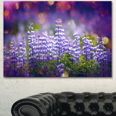 " Blue Lupin Flowers On Blue Background "