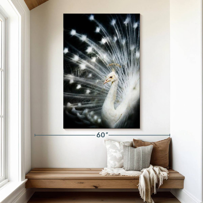 Brampt Rare White Peacock, 51" H x 34" W