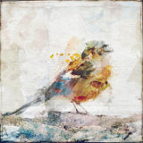 Watercolor Bird I Print by Zoey Riley