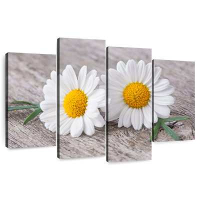 Deux fleurs de camomille Harnek