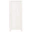 Dishon Rectangle Accent Chest-237105434