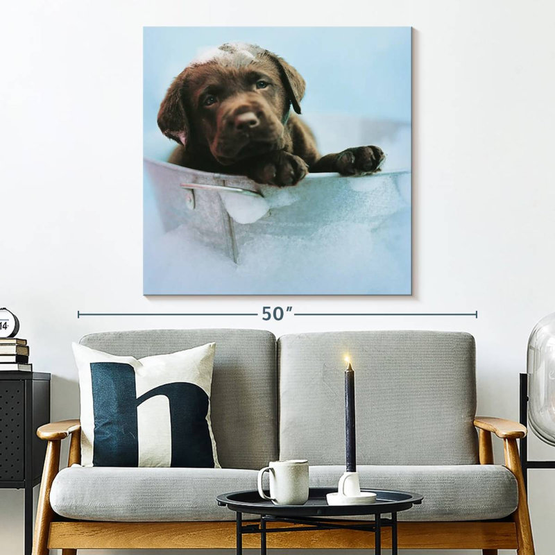 Brampt Beau le chien, H 33 po x l 33 po