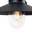Ivy 22cm H Outdoor Barn Light