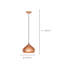 Acravally 1 - Light Bowl Pendant