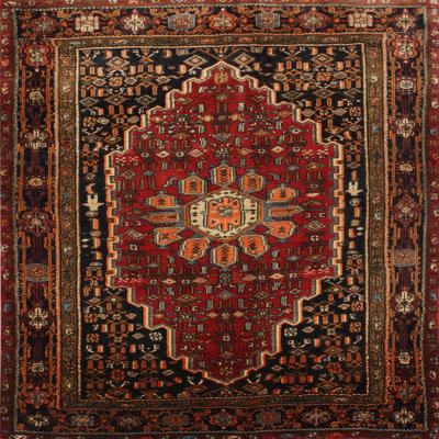Oriental Indoor Rug